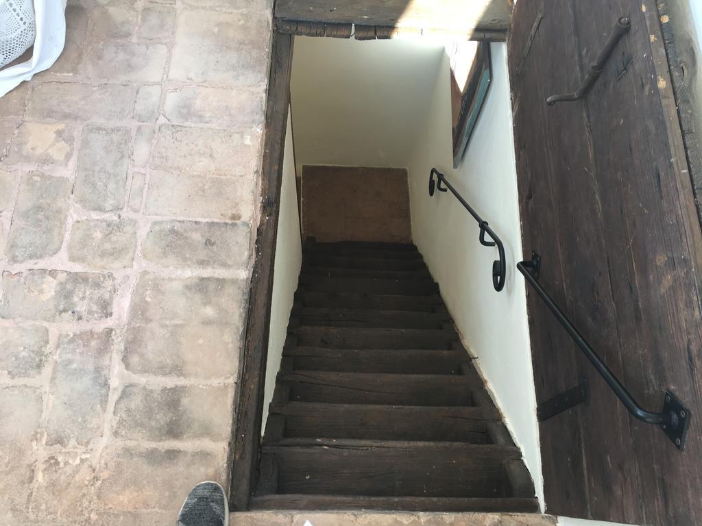 Antica Casa Zucchini B&B ボローニャ エクステリア 写真
